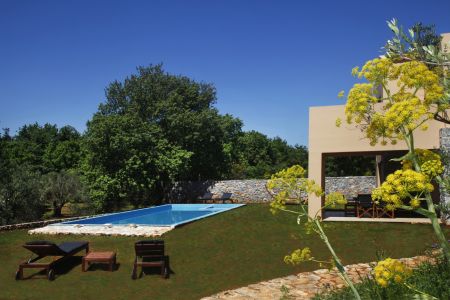 pool and view